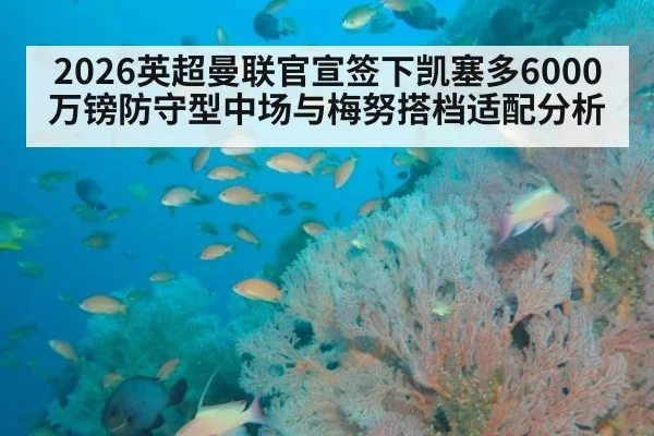2026英超曼联官宣签下凯塞多6000万镑防守型中场与梅努搭档适配分析