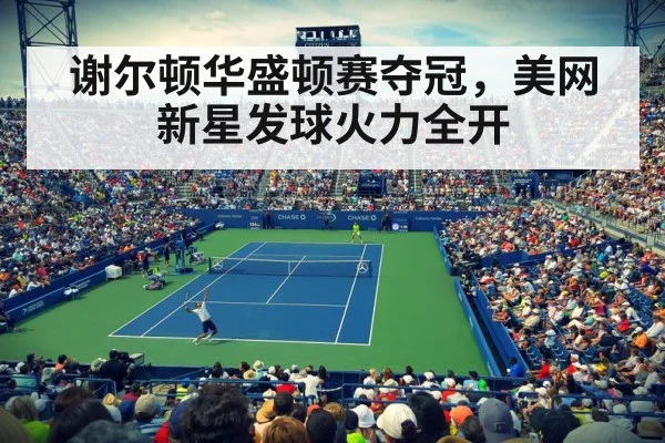 tennis crowd Washington